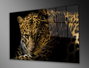 Wallity Pintura en Vidrio Templado Decorativo 90 x 60 cm Multicolor